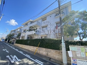 Cross　Season甲子園