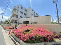 エルマーナ香枦園