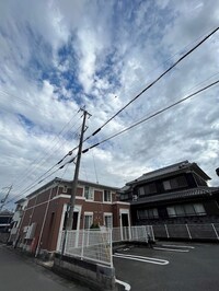 ウッドパストラルII