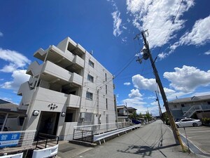 デランテ蓼野