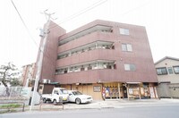 エスパイアー原木