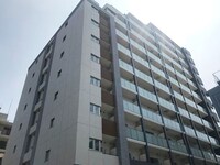 フレンシア菊川