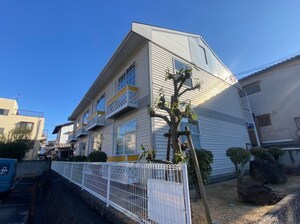 Ｋｓｐｉｒｉｔこけ桃