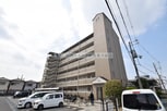 アフロディ布市