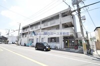 フラットカキノキ