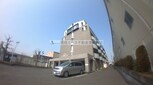 スターリースカイテラニシ