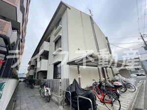 ドルフミヤタ
