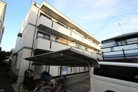 ハイカムール若草