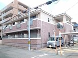 ネオカーサ