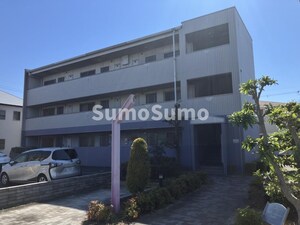 ヴェルドミール ステラ