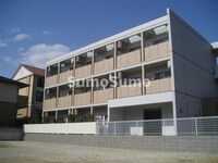 フェリーチェス