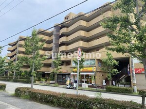 マブランシェット弦月