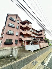 サンフラワー貴崎