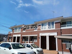 サワーパルシェ