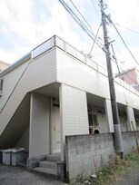 コートアオイ