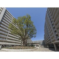 シティコート目黒４号棟