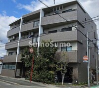 ｼﾞｪﾝﾃｨｰﾙMATSUMOTO