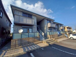 コージィーコート