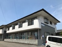カミーリアアイラ