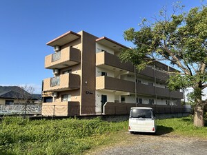 Ｂａｍｂｉｎｏ　Ｓｔｅｌｌａ　Ｍ＆Ｋ