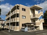 レインボーコスモス