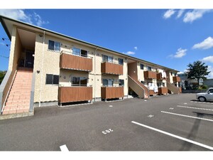 Ｃａｒｉｎｏ　ｎａｎａｍｉ