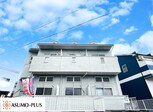 コスモアイリス