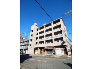メゾンマツヨシ