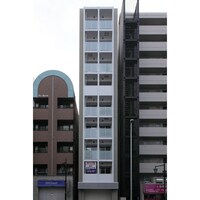 Fuchsia『フクシア』