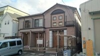プラシード・Ｔ