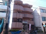 シェーネ幸