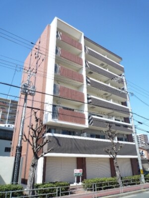 PLEO瑞光