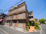 チェリーブロッサム