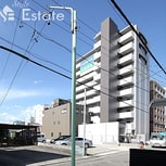 RAFFLE OZONEII -South Garden-