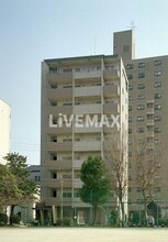 ファインコート