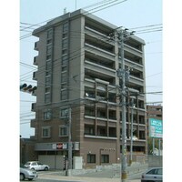 TSコアラ