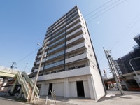 LIVIAZ NAMBA RENOM