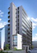 ハナミズキ福島