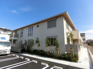 シャルマン並木