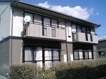 アムールビブレ