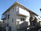 ライスシャワー坪井
