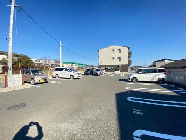  サンフラワー須屋