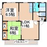 ＴＮハイツA・Ｂ 2LDKの間取り