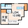 ホワイトステージSUYA 1LDKの間取り