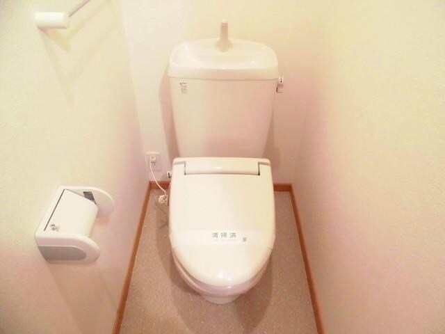  ドミール