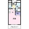 グレイス　ヴィラ 1Rの間取り