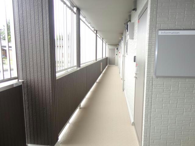  ヤンガー佐野