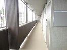  ヤンガー佐野