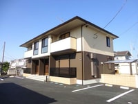 Tsubaki