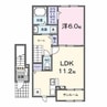 カミーノ　アムレトⅡ 1LDKの間取り